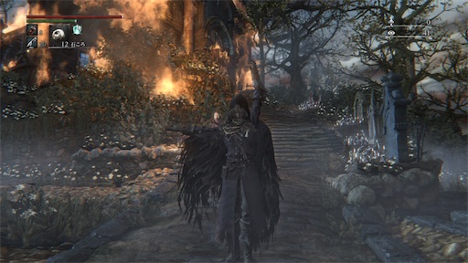 f:id:nekonoouti:20240620072517j:image