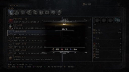 f:id:nekonoouti:20240620072536j:image