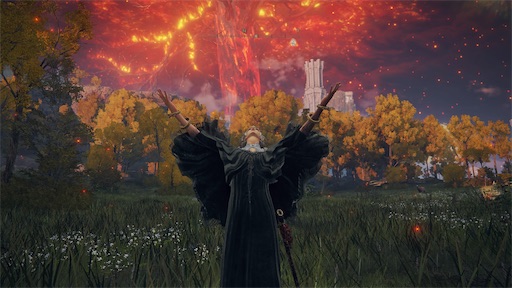 f:id:nekonoouti:20240621071723j:image f:id:nekonoouti:20240621071723j:image