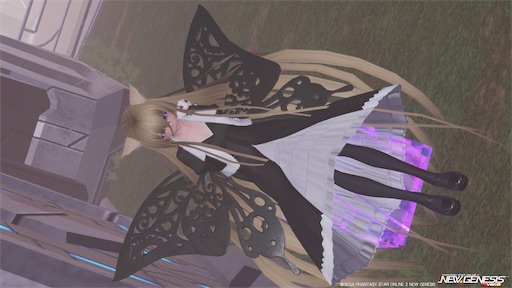 f:id:nekonoouti:20240913075612j:image f:id:nekonoouti:20240913075612j:image