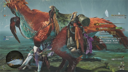 f:id:nekonoouti:20250310071247j:image