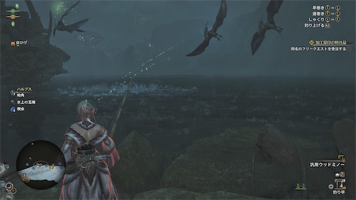 f:id:nekonoouti:20250310071340j:image