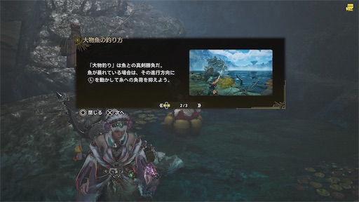 f:id:nekonoouti:20250310071408j:image