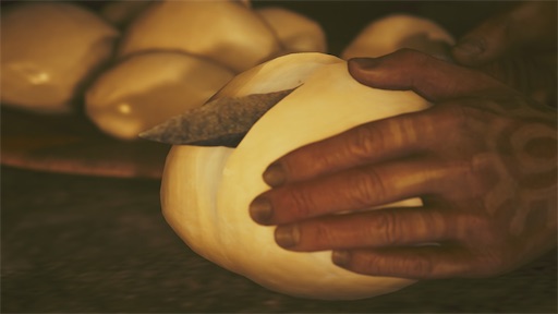 f:id:nekonoouti:20250331071342j:image