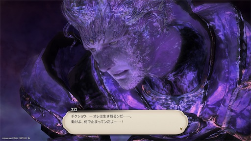 f:id:nekonoouti:20250618072935j:image