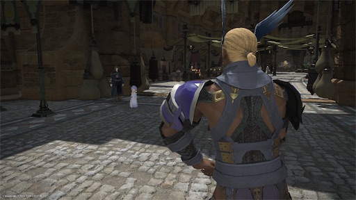 f:id:nekonoouti:20250620072251j:image