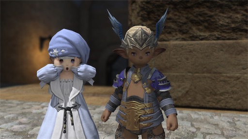 f:id:nekonoouti:20250620072258j:image