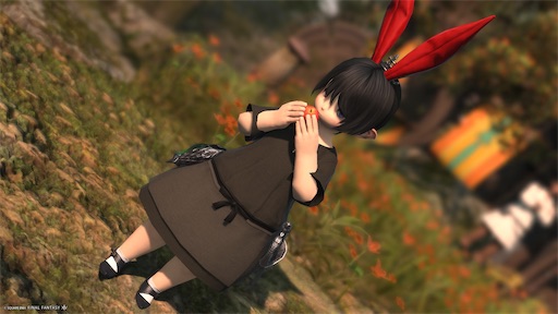 f:id:nekonoouti:20250620072309j:image