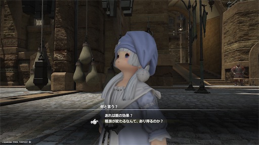 f:id:nekonoouti:20250620072317j:image