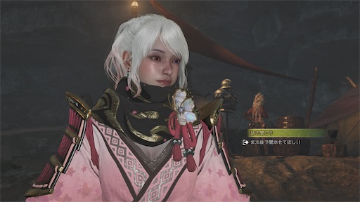 f:id:nekonoouti:20250702072114j:image
