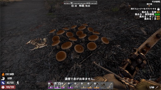 f:id:nekonoouti:20250714072503j:image