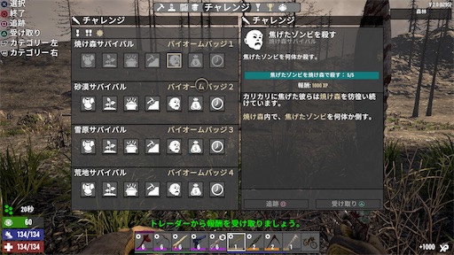 f:id:nekonoouti:20250714072506j:image