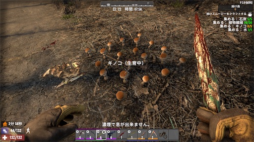 f:id:nekonoouti:20250714073042j:image