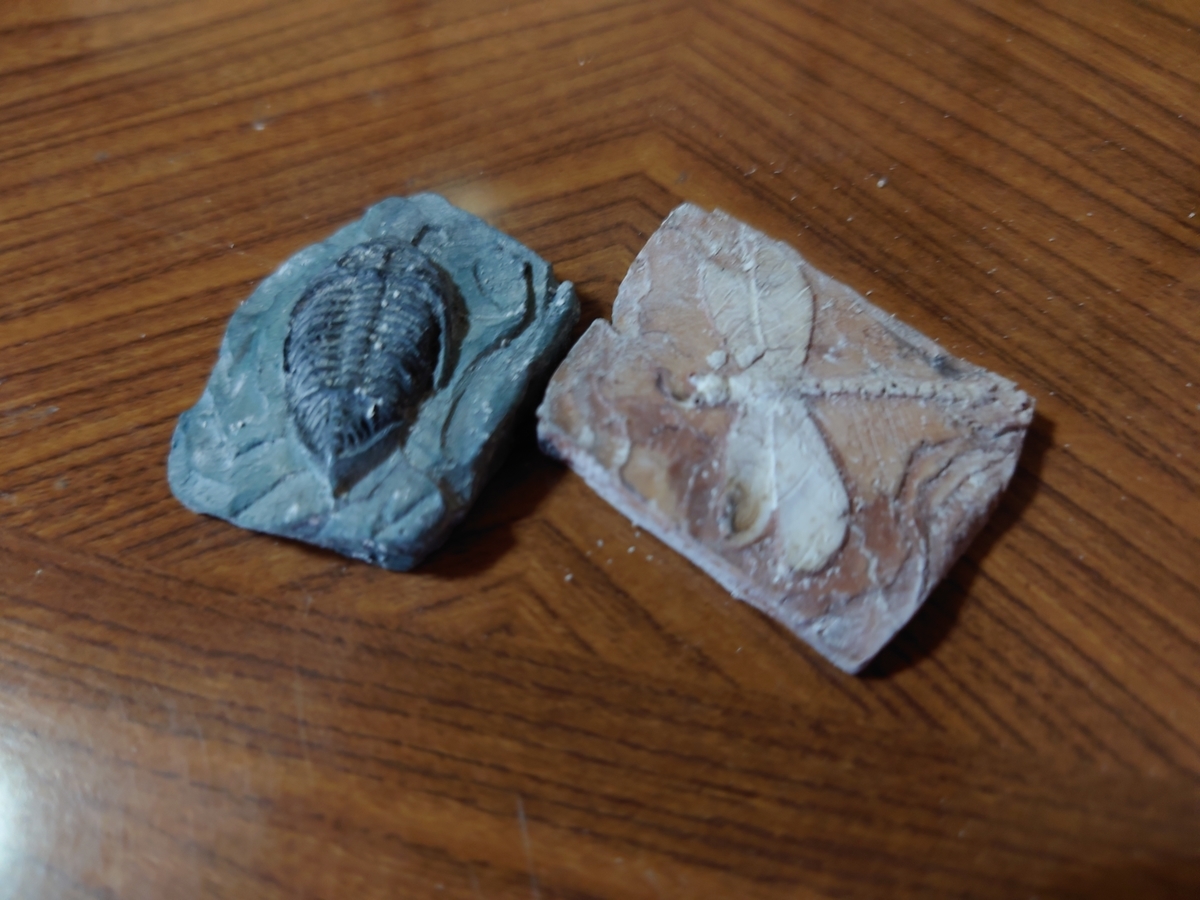 f:id:nekonoshita2:20210813194525j:plain