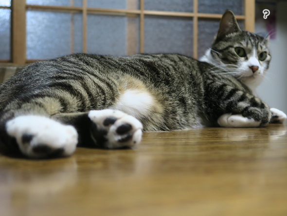 なにか？