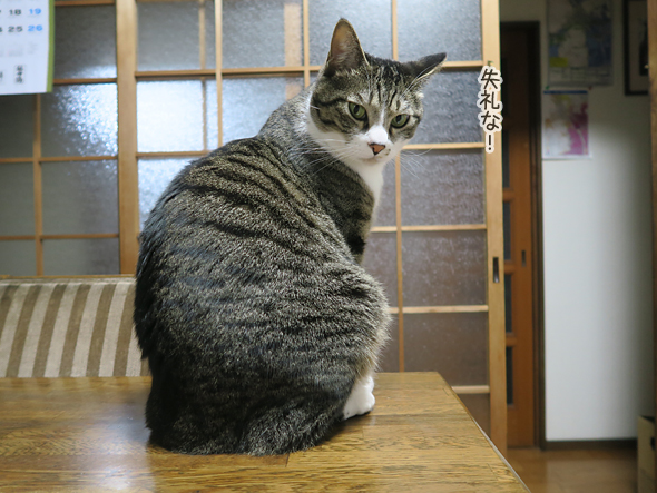 なんか文句ある？