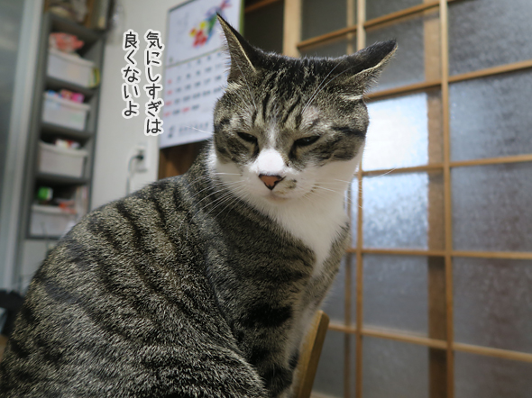 気にしない気にしない
