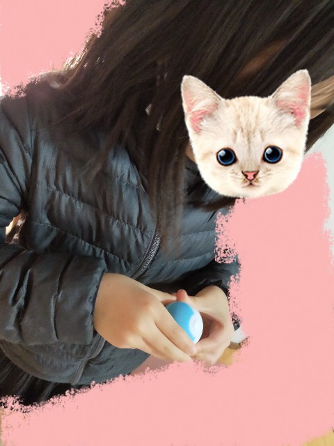 f:id:nekonotemokaritaiwa:20210207143100j:image f:id:nekonotemokaritaiwa:20210207143100j:image