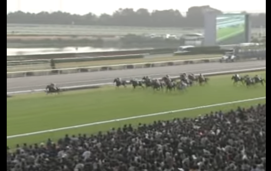 思い出のレース🏇2000年京都記念テイエムオペラオー - 猫の爪切りdiary