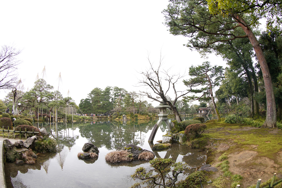 f:id:nekontaex:20190322111533j:plain f:id:nekontaex:20190322111533j:plain