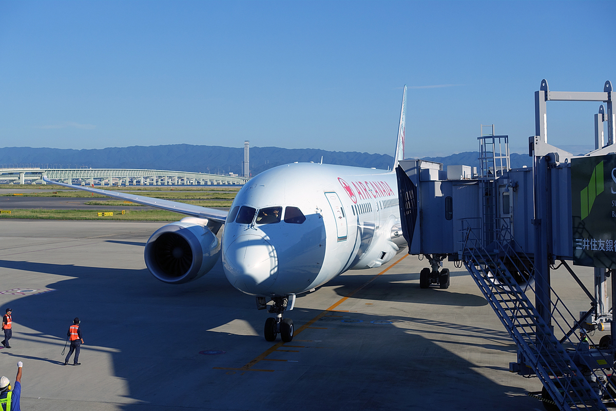 f:id:nekontaex:20191003212015j:plain f:id:nekontaex:20191003212015j:plain