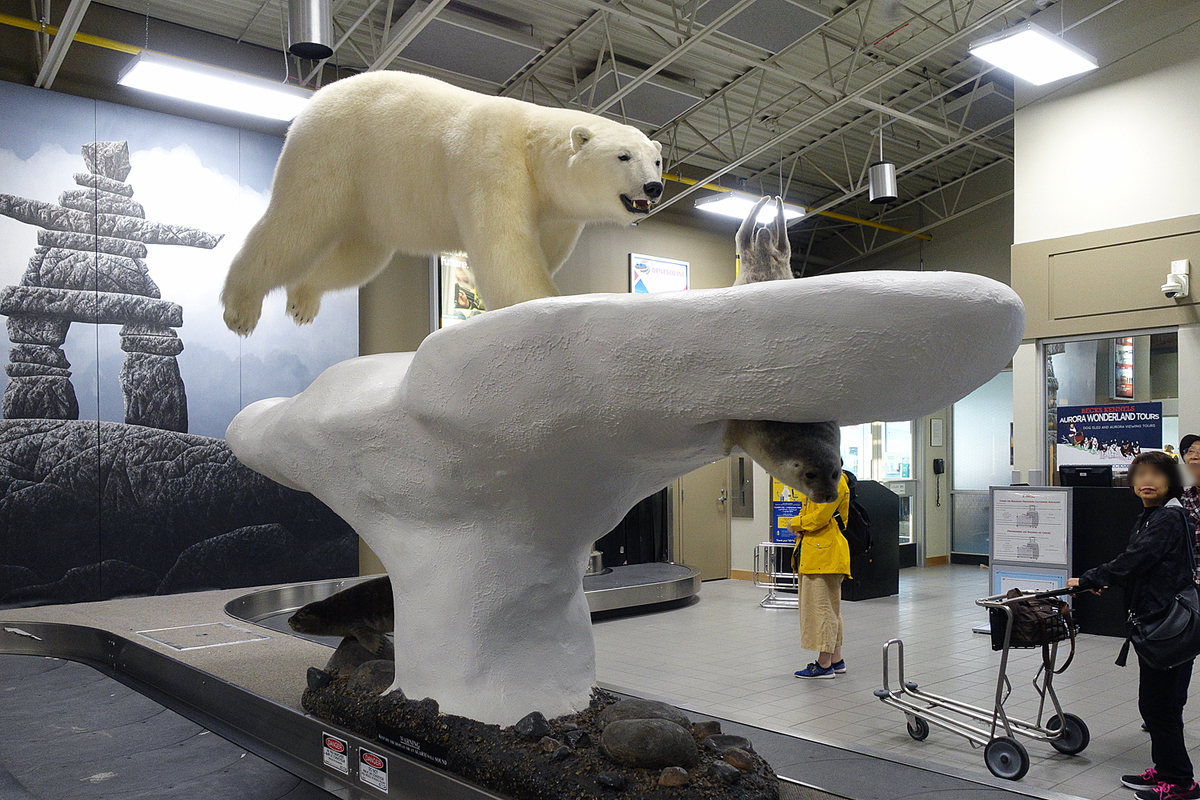 f:id:nekontaex:20191003212134j:plain f:id:nekontaex:20191003212134j:plain