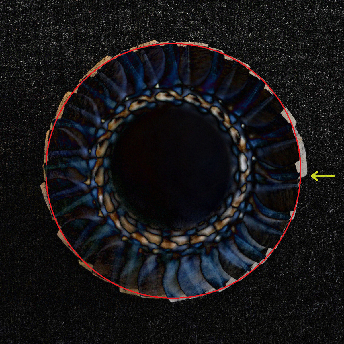 f:id:nekontaex:20210124122349j:plain