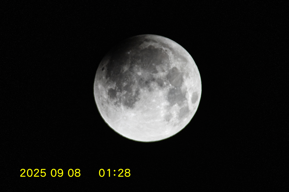 皆既月食 - Nekonta Photo Gallery