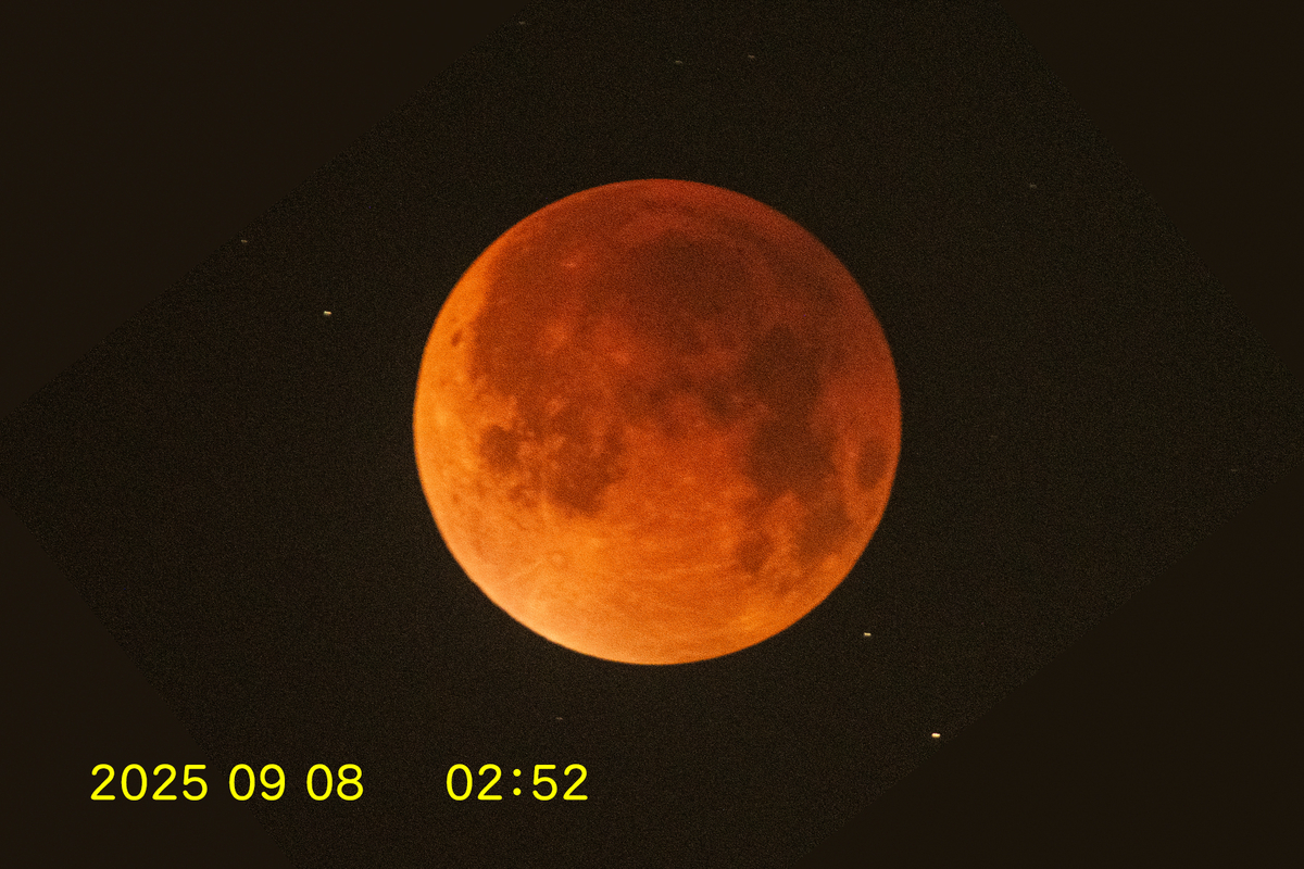 皆既月食★人生の成功と円満二玉オルゴブレスレット 皆既月食 - Nekonta Photo Gallery