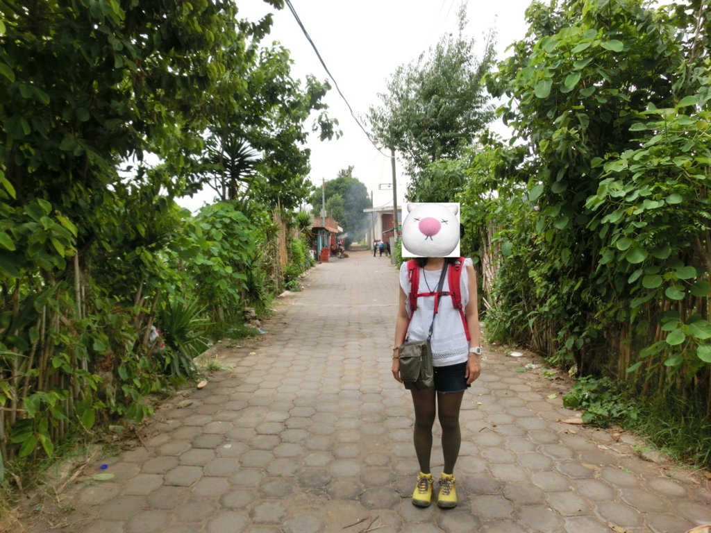 f:id:nekontan:20160621212033j:plain f:id:nekontan:20160621212033j:plain