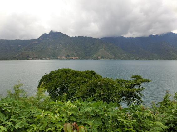 f:id:nekontan:20160622103931j:plain f:id:nekontan:20160622103931j:plain