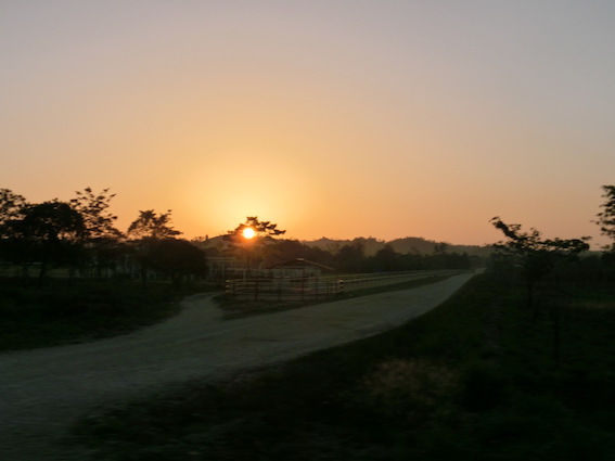 f:id:nekontan:20160627065510j:plain