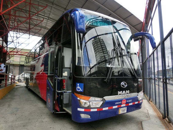 f:id:nekontan:20160723051052j:plain