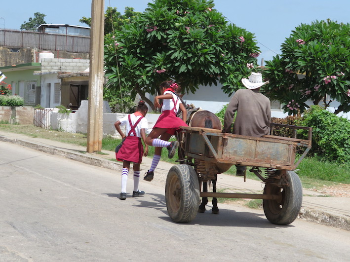 f:id:nekontan:20161011105121j:plain