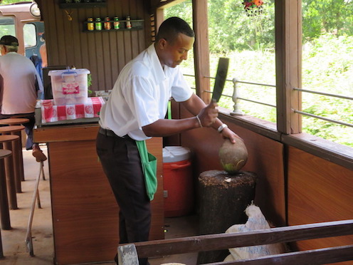 f:id:nekontan:20161012114843j:plain