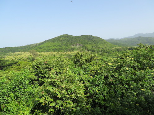 f:id:nekontan:20161012114913j:plain