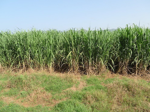 f:id:nekontan:20161012115038j:plain