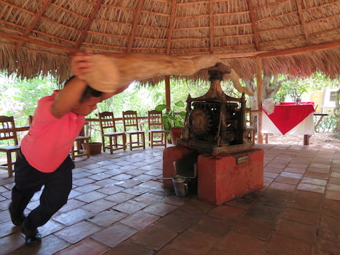 f:id:nekontan:20161012115358j:plain