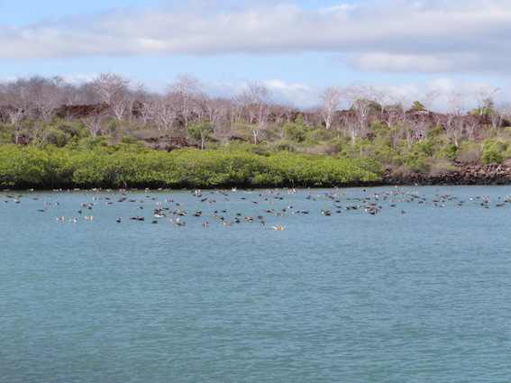 f:id:nekontan:20161227053324j:plain f:id:nekontan:20161227053324j:plain