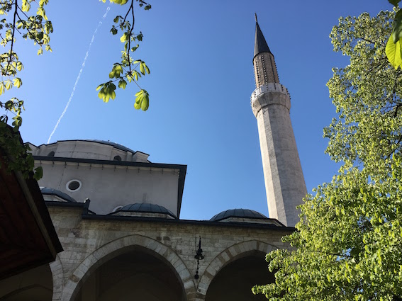 f:id:nekontan:20170827134247j:plain