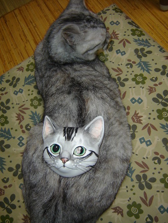 人面瘡の恐怖 銀河鉄道の猫