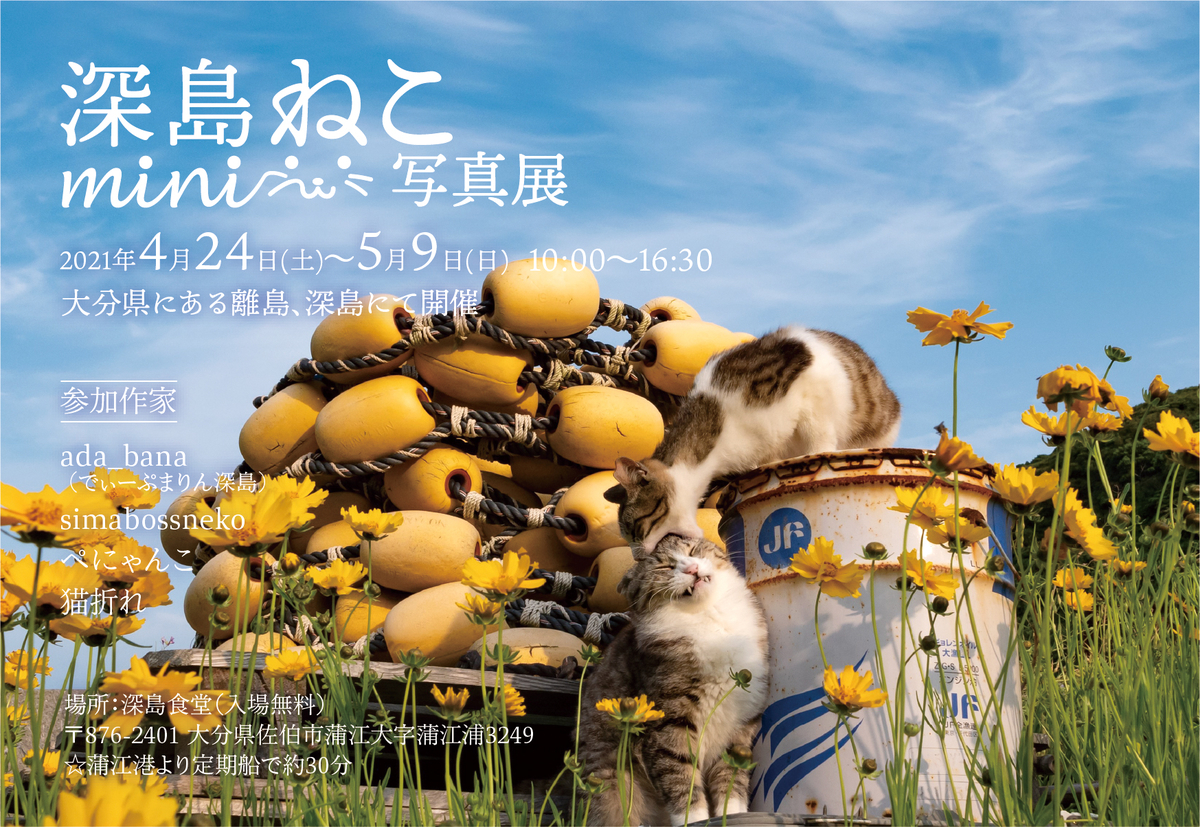 深島miniねこ写真展 のお知らせ いつかいたねこ 猫折れ