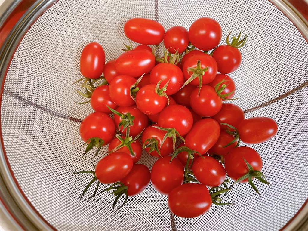 f:id:nekopiano496:20230729162400j:image