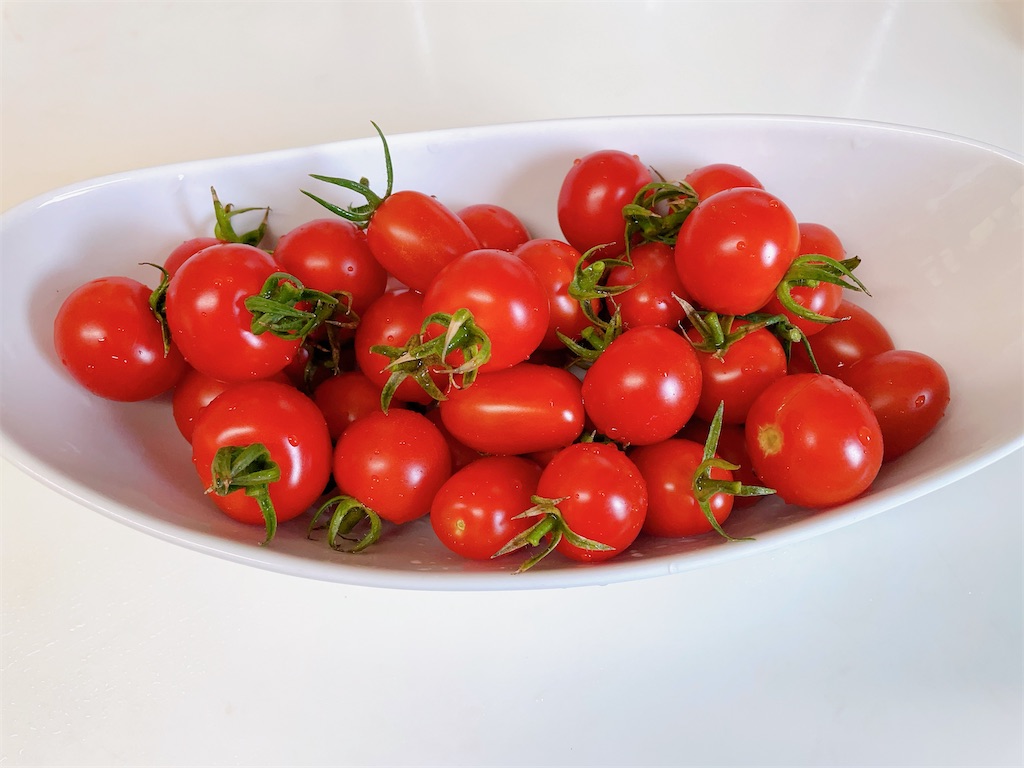 f:id:nekopiano496:20230729162415j:image