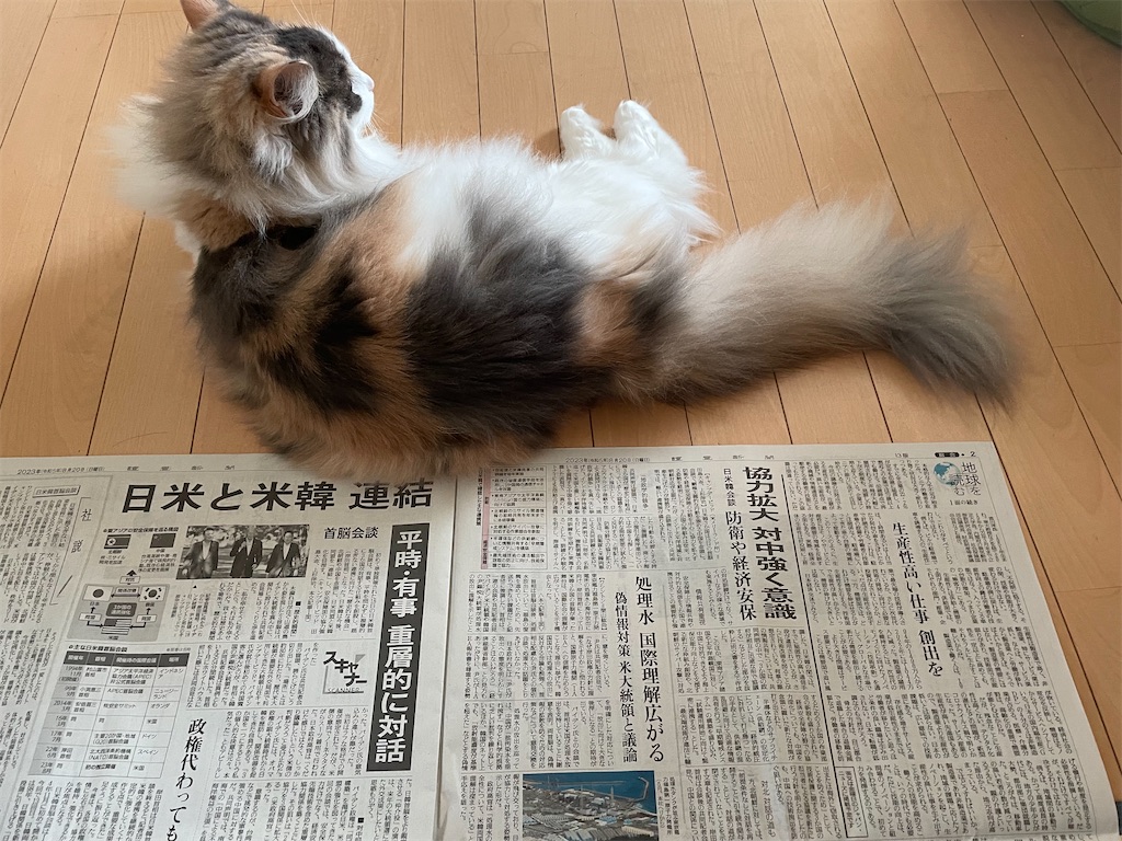 f:id:nekopiano496:20230820200034j:image