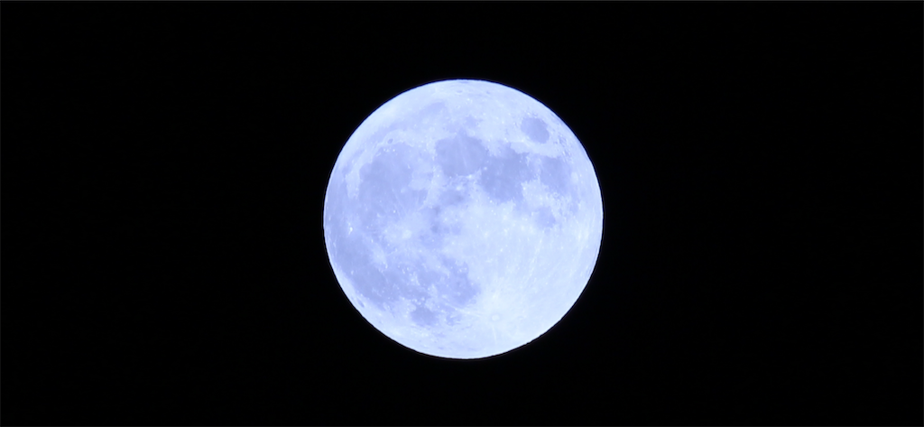 f:id:nekopiano496:20230930070800p:image f:id:nekopiano496:20230930070800p:image