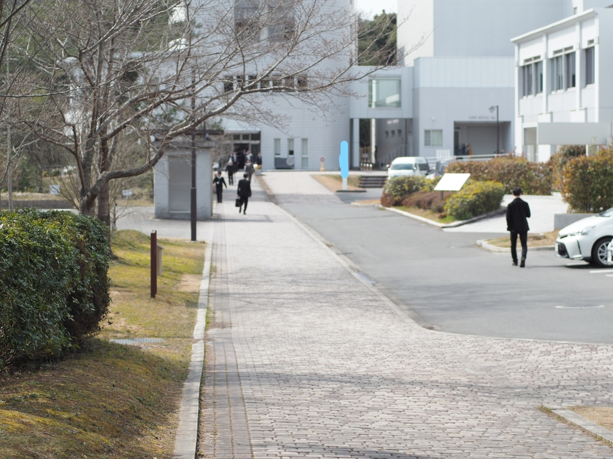 f:id:nekopictures:20191108005849j:plain