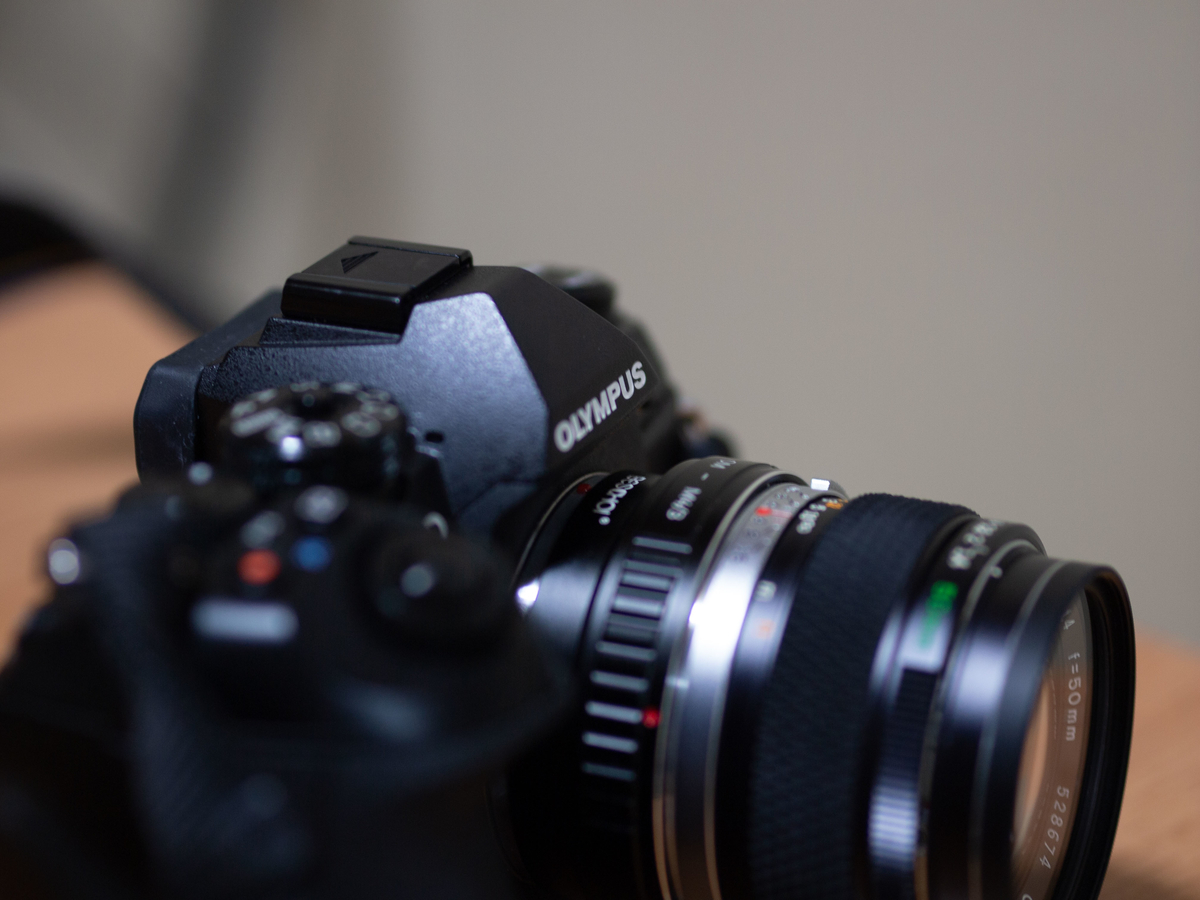 f:id:nekopictures:20191108012712j:plain