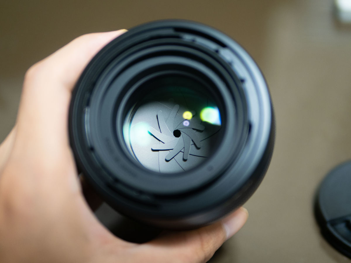 f:id:nekopictures:20191129025126j:plain