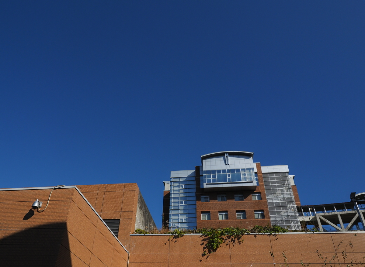 f:id:nekopictures:20191217001910j:plain